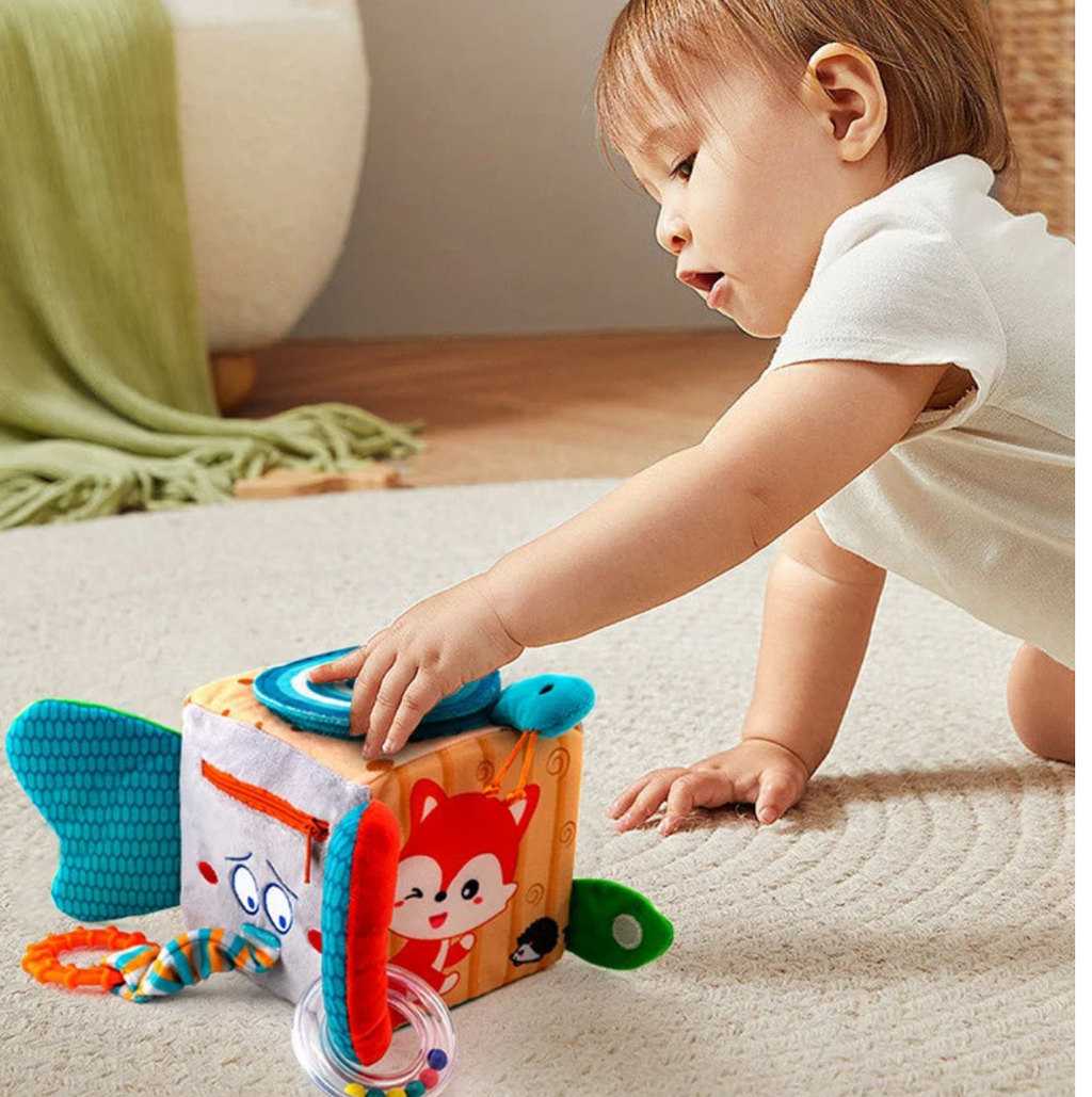 Cubo sensorial Zorro