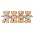 Oso de peluche con buzo