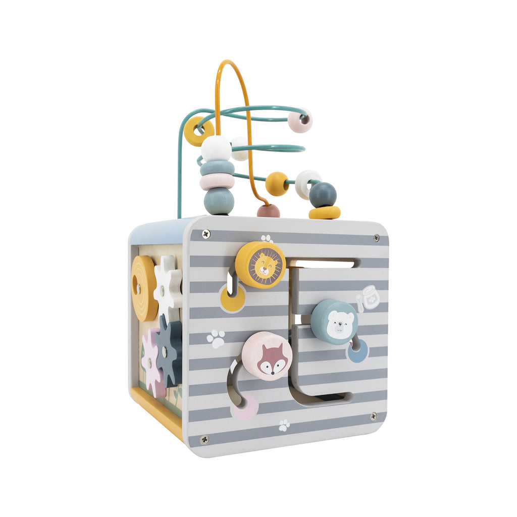 Cubo de actividades PolarB