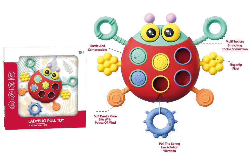 Juguete Montessori sensorial de silicona