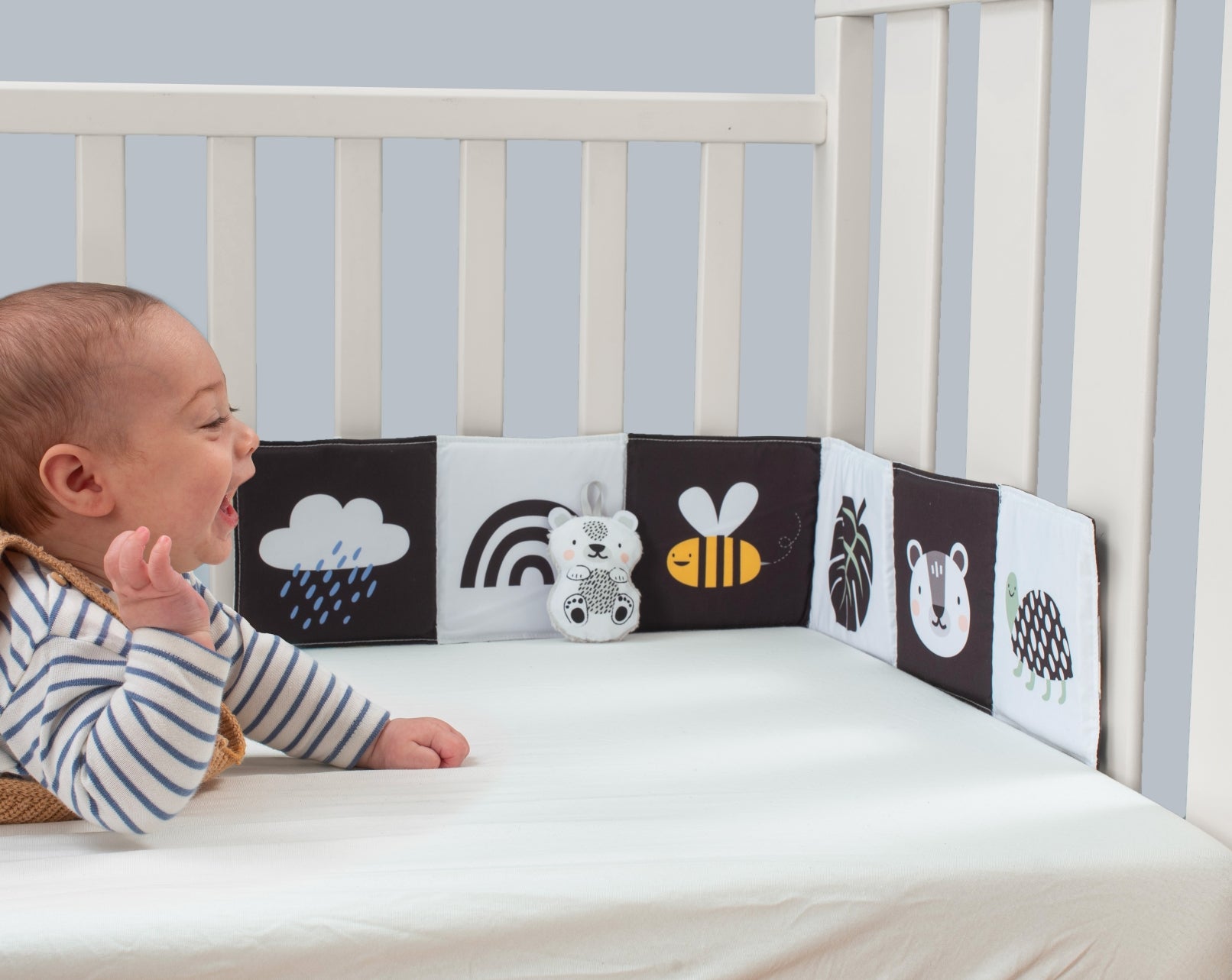 Libro Alto Contraste Savannah