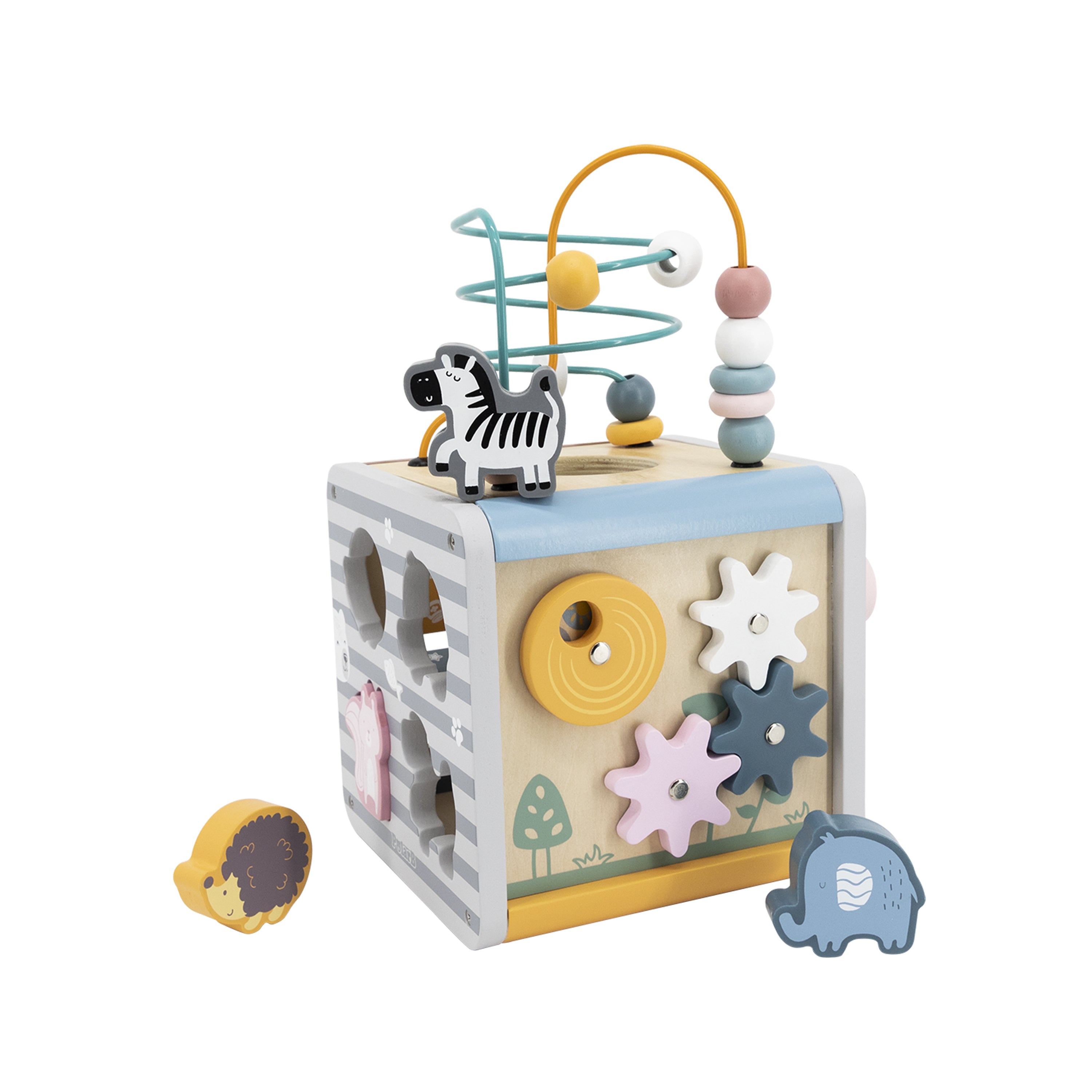 Cubo de actividades PolarB