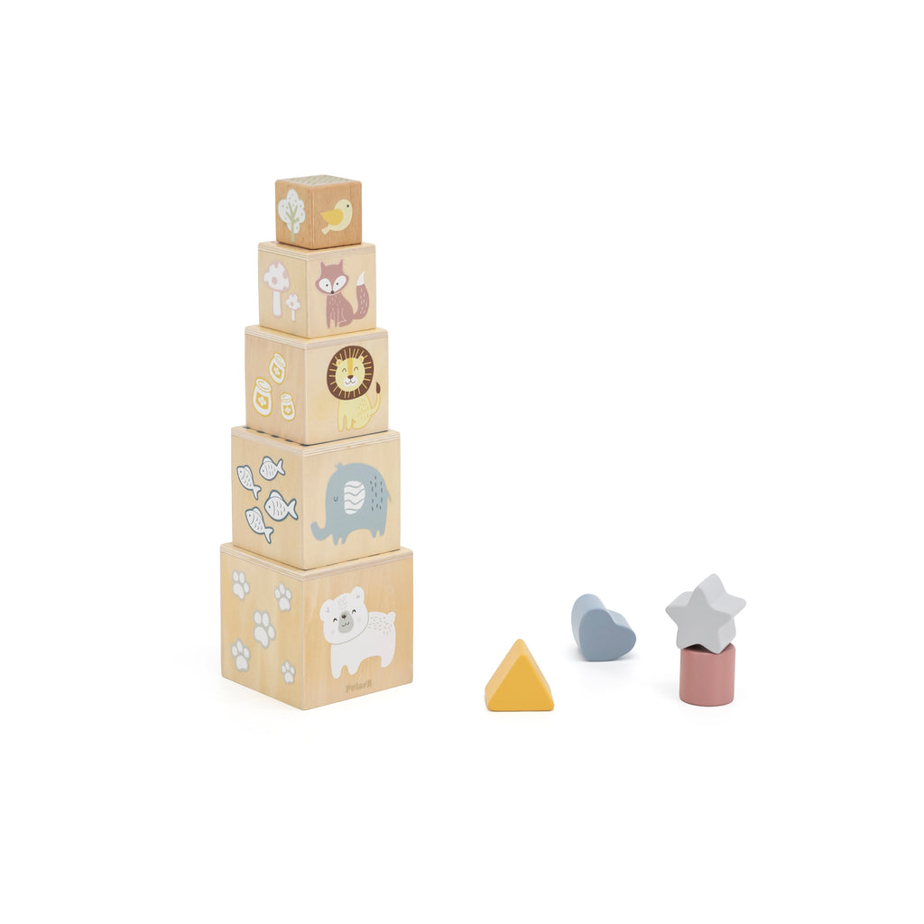 Box crece conmigo: Motion Masters (12-18 meses)